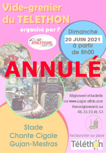 vide grenier